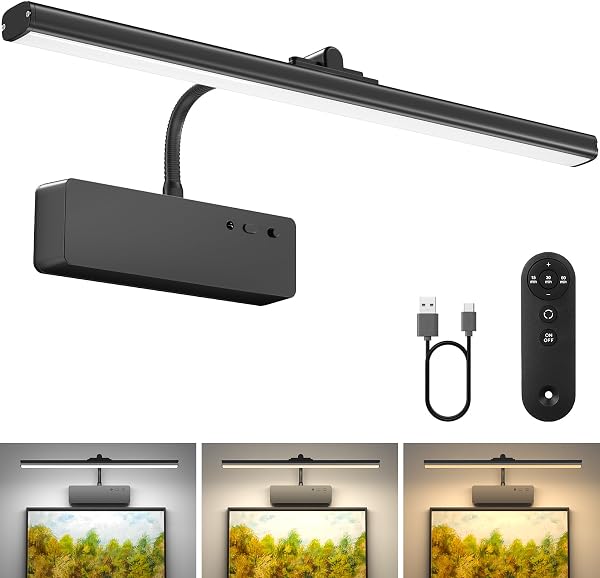 Lightbiz Picture Light, 15.35inch 5400mAh Rechargeable Picture Lights for Wall Battery Operated Wall Lights, 3 Colors Pa