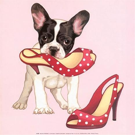 dog wearing heels