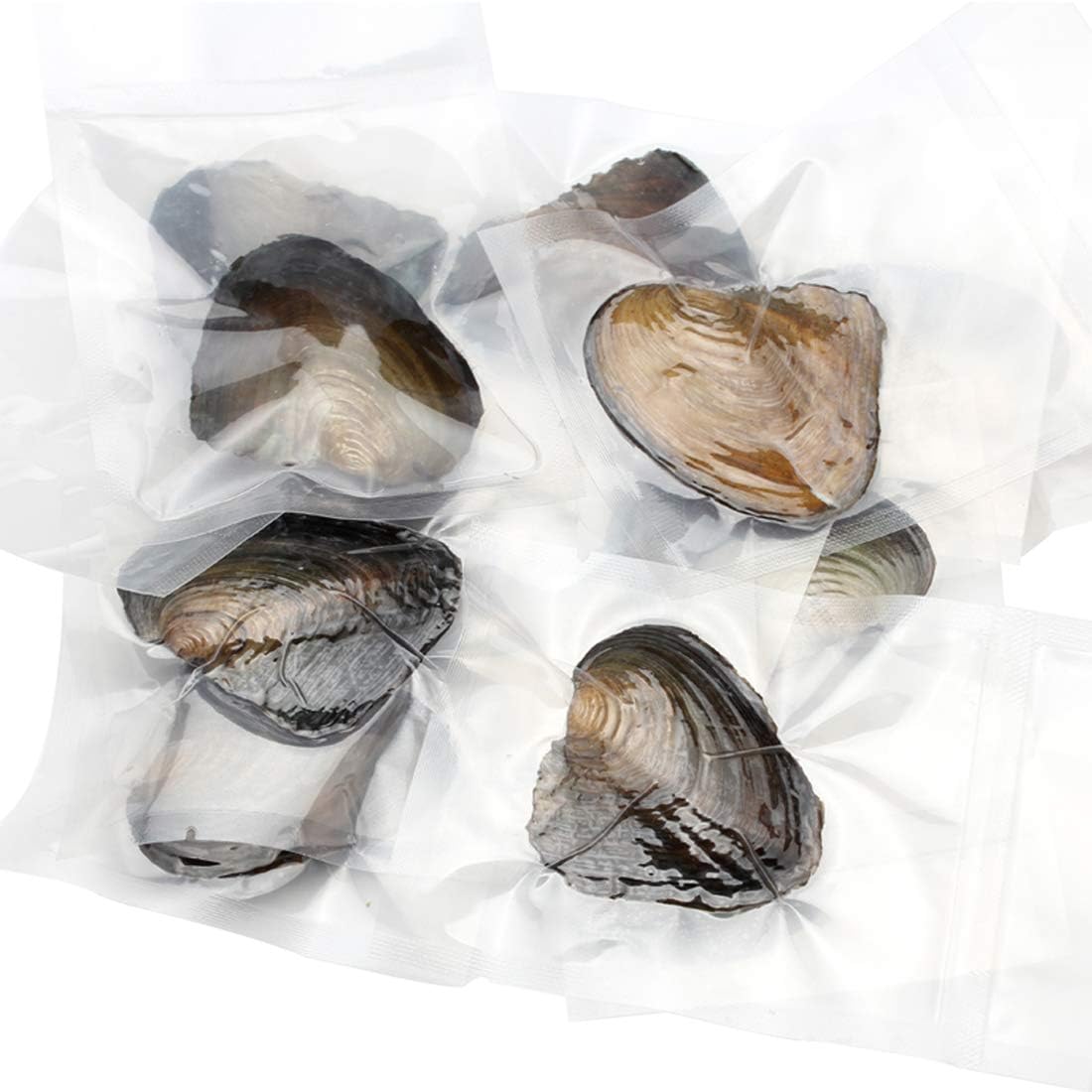 10PC Freshwater Pearl Cultured Oyster with Pearls Inside - Love Wish Gift for Children, Family, Friends - Perfect for Parties (6-8mm, 10PC) thumbnail