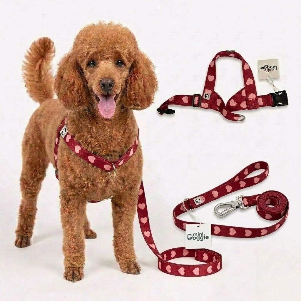 Heart Small Dog Harness and Leash Set - No-Pull Soft Webbing Vest with Front & Back Clip, Durable 2.5cm Wide Dog Lead with Double Lock Safety Clip, Lightweight & Adjustable (Red, Large)