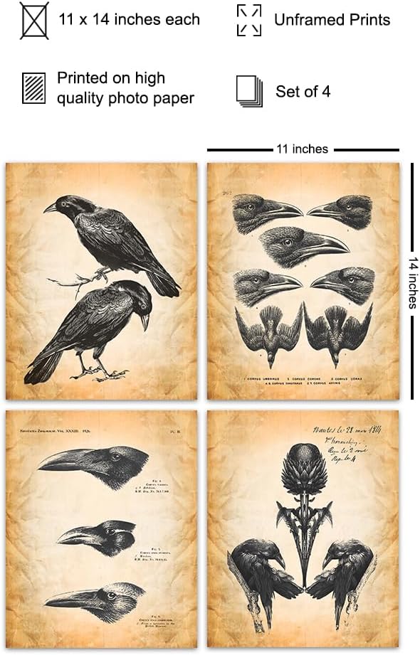 The Raven Gothic Wall Decor 11x14 - Edgar Allan Poe Wall Art - Vintage Rustic Crow Decor - Living Room, Office, Bedroom - Creepy Horror Halloween Decoration - Audubon Birds Prints - Goth Room Picture