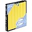Vital 100S-P Pet Allergy Filter