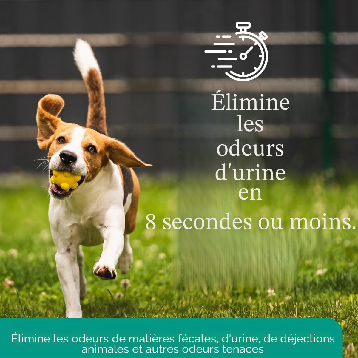 Eco Strong Éliminateur d'odeurs d'extérieur pour urine de chien, chat et animal | Force professionnelle pour cours, gazon, niches, patios et terrasses (3,6 l)