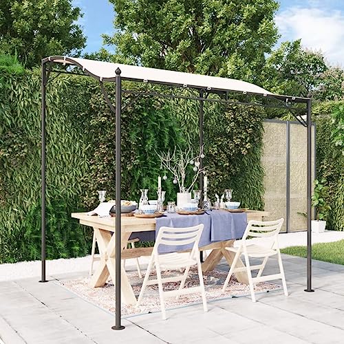 Outdoor Canopy 6.6 x 7.5 ft Rectangular Shade Shelter, Weather