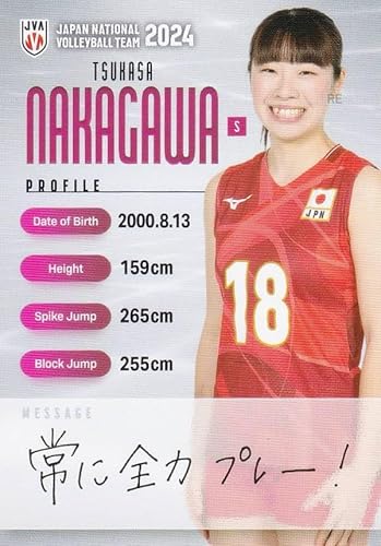 バレーボール関連 書籍・戦術解説本