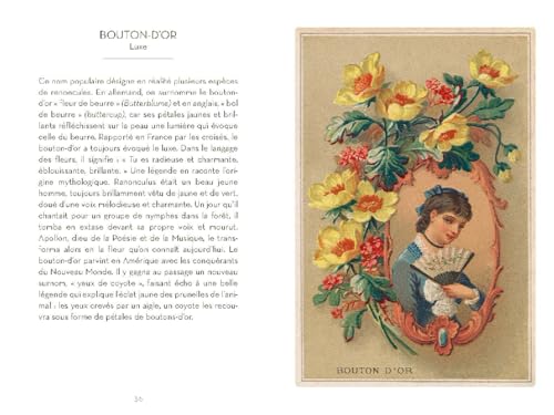 Le Petit livre du langage des Fleurs: Nouvelle édition – vue 2