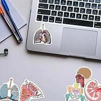 Vista 3 de Anatomy Pun Stickers Human Anatomy Sticker Water Bottle Stickers for Teens Waterproof Vinyl(50Pcs)