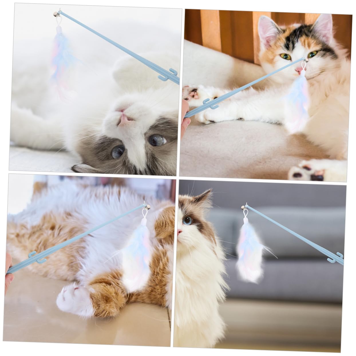 VANZACK 16pezzi Giocattolo Interattivo Per Gatti Con Piuma e Manico Ergonomico Di Bacchette Teaser Per Gattini Gioco Divertente e Sicuro Per Attività Fisica Dei Felini