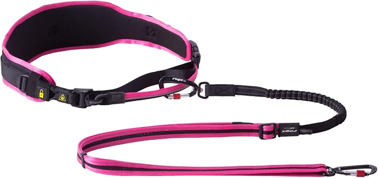 Airtech Dog Sport Belt and Leash Set L/XL - Large/X-Large - Sunset Pink