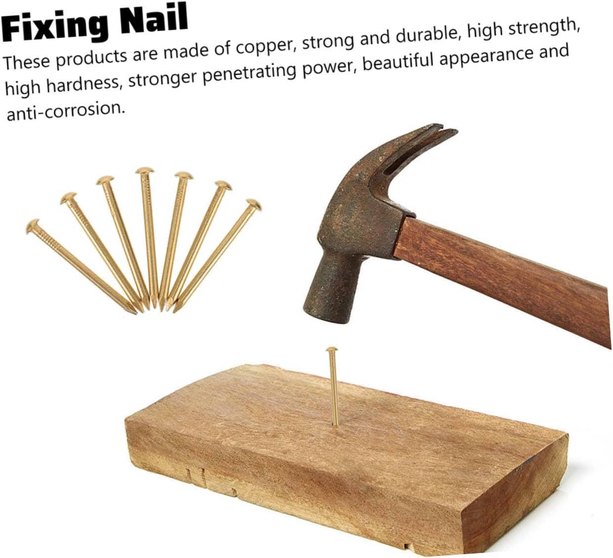 GARVALON 2030pcs Strong Penetration Round Head Copper Nails Furniture Fixing Nails Home for Hanging Decor