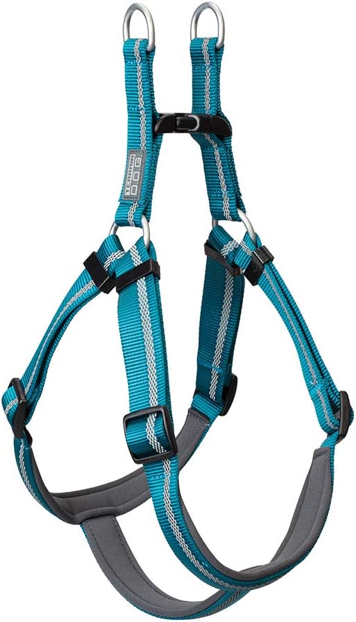 Terrain D.O.G. Reflective Neoprene Lined Dog Harness, Blue Bay, Large, 20-33 inch Girth Size