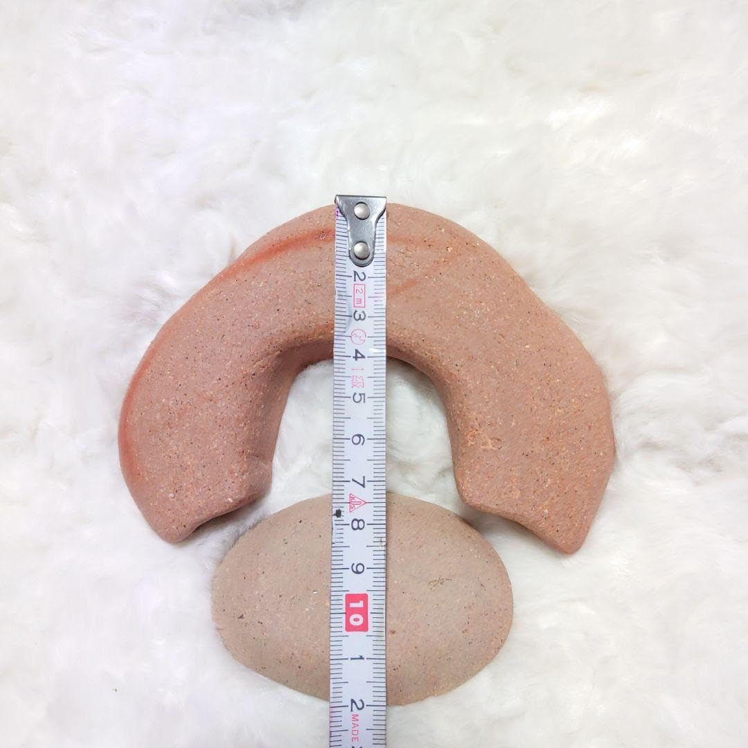 美形 大型 エバーフレッシュ S字仕立て 10号 バルーン陶器鉢 植え込み