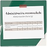 Ver la foto 6