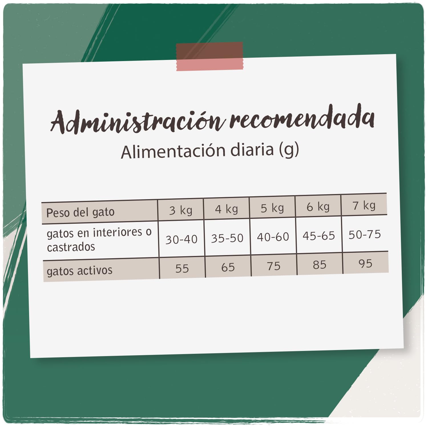 VenandiAnimal Comida seca de calidad para gatos - pack de degustación de cordero, 4 x 1,5 kg (paquete de 4), sin cereales y con carne y pescado frescos