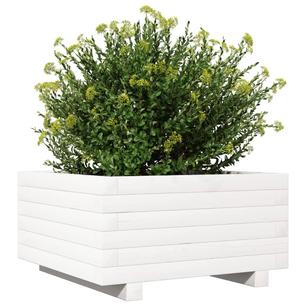 Bancal elevado, 50 x 50 x 26,5 cm, pino blanco, jardín elevado, balcón, jardinera, maceta, hierbas, flores, verduras