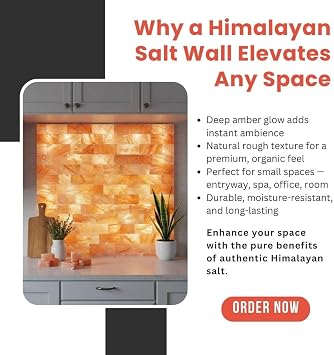 2x2 Himalayan Salt Wall Panel Kit with Bricks, Glue, Placement Map & Manual Set