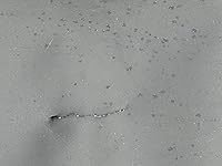 Review Image by Tina Bradley