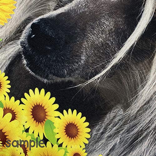 Bageyou Spring Flowers And Lawn Dog Throw Pillow Cover Lovely Pet White Poodle Hound American Flag Background Decor Home Patriotic Canvas Pillowcase 18X18 Inch #TOP4