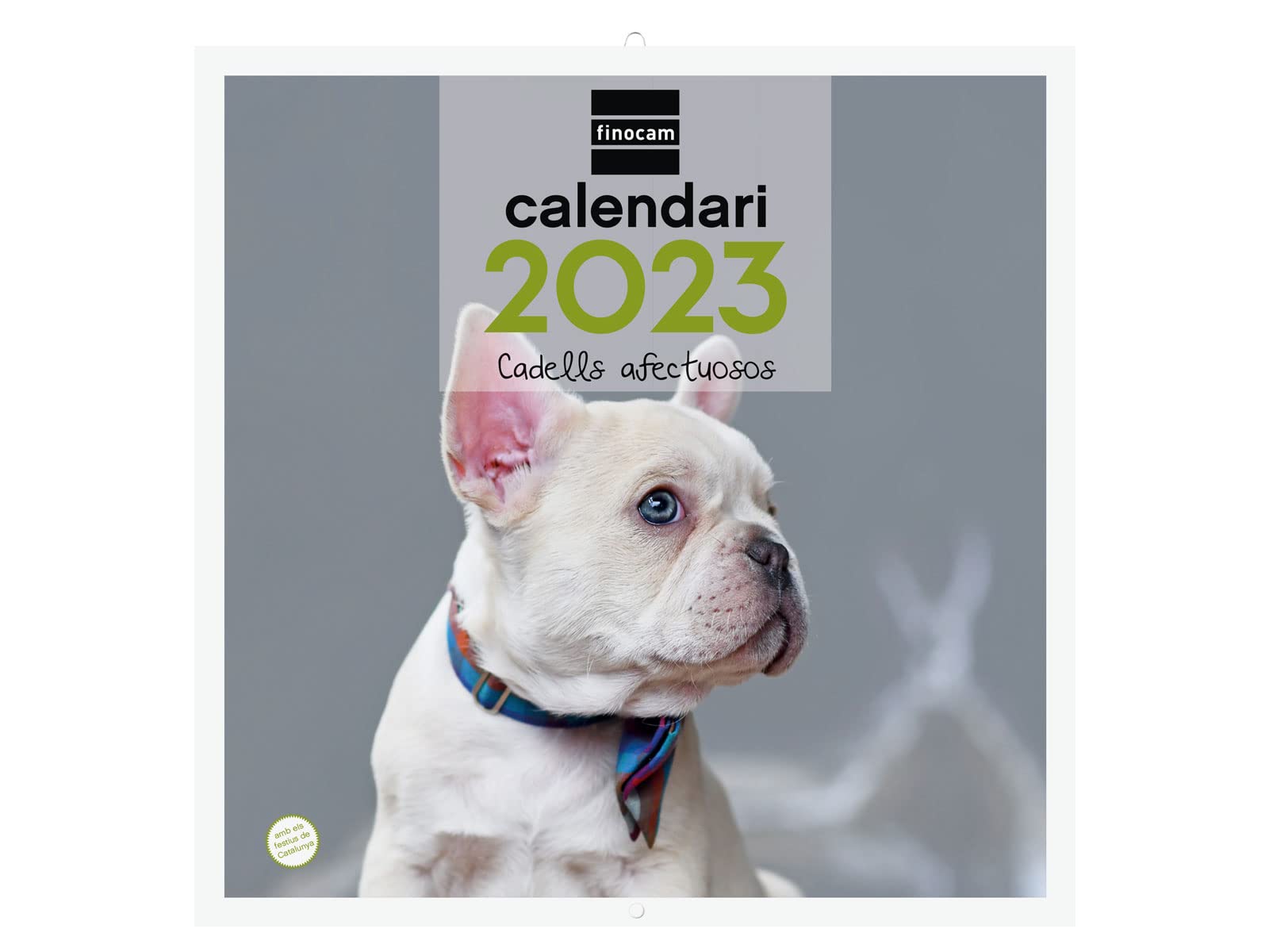 Finocam - Calendar 2023 Wall Pictures 30x30 to Write January 2023 - December 2023 (12 months) Catalan Puppies