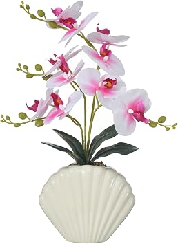 Artificial Phalaenopsis Orchid Plant in Seashell Pot, 16" Fake Orchid Flowers, Silk Faux Orchids for Home Decor, Office, Table Centerpiece, Real Touch Lifelike Indoor House Plant White and Pink