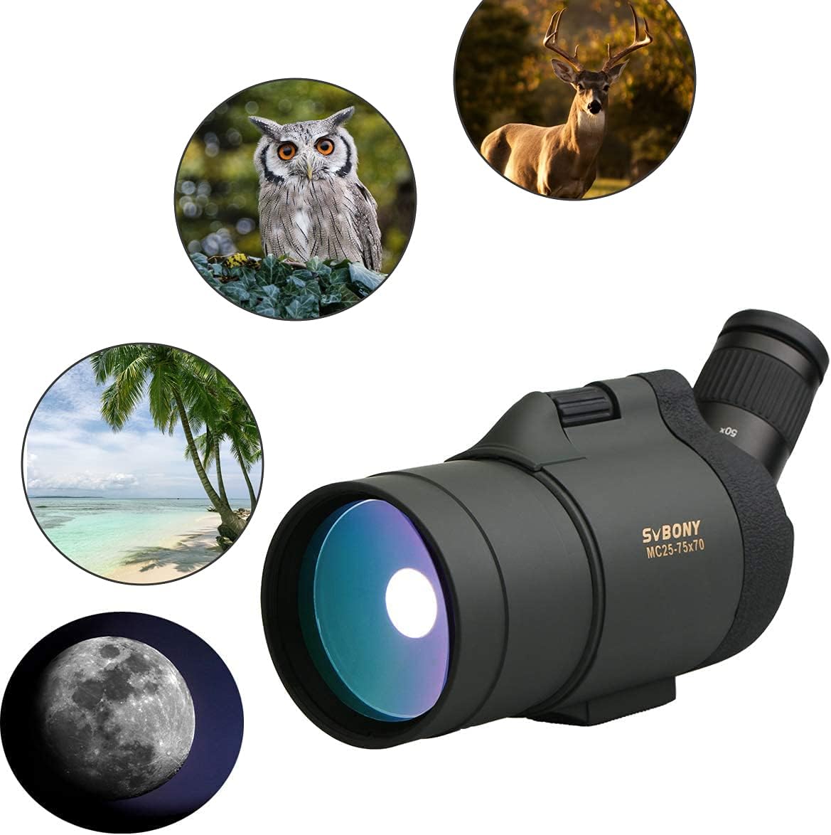 Svbony SV41 Mak spotting scope used for various observation activities