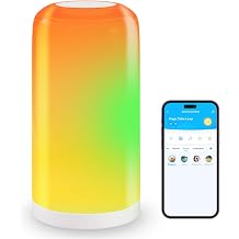 DAYBETTER BGRIC Smart Bedside Lamps, Touch Lamps for Nightstand, LED Lamp Compatible with Alexa and Google Home, Color Changing Lamp for Bedroom Living Room,70+ Scene Mode Only for 2.4GHz WiFi