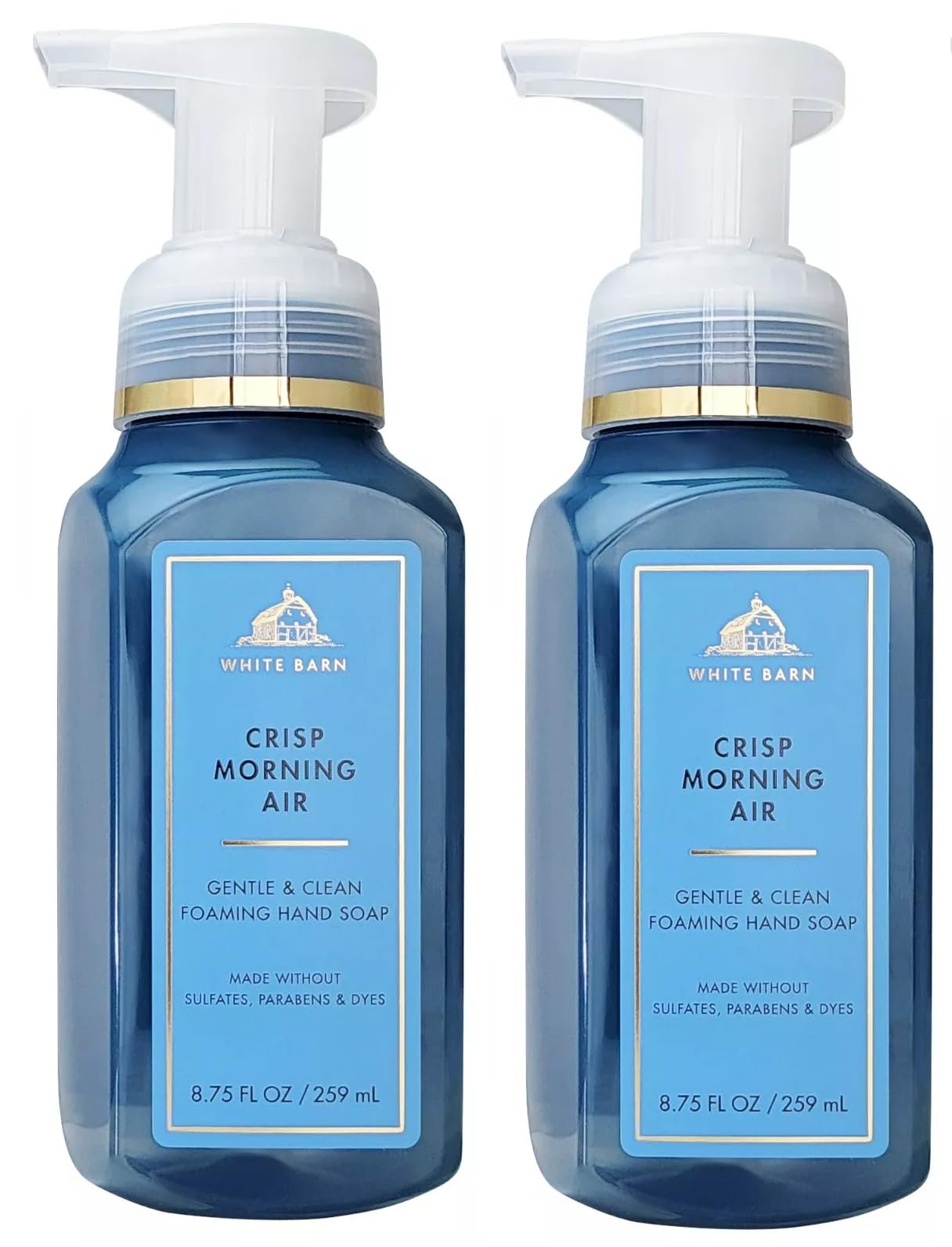 Bath and Body Works 2 Pack Crisp Morning Air Gentle Foaming Hand Soap. 8 Oz