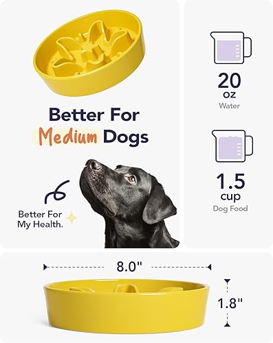 Vista 215 de LE TAUCI Cuencos de cerámica para perros de alimentación lenta, 3 tazas de alimentación lenta, tazón para perros de raza mediana y grande, cuenco