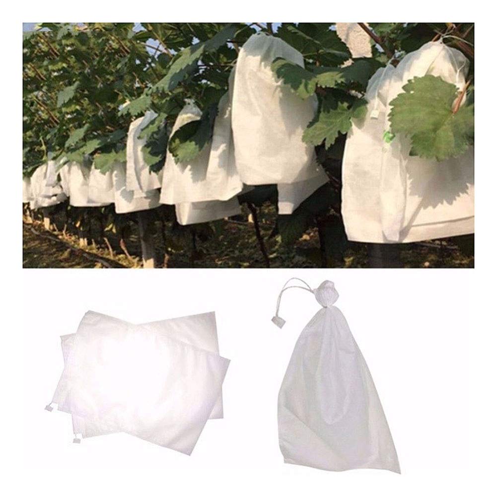 Bolsas Protectoras contra Insectos para Uvas, Bolsas de Malla antiinsectos for Cultivo Frutas, Verduras y Uvas, 100 Unidades(XL)