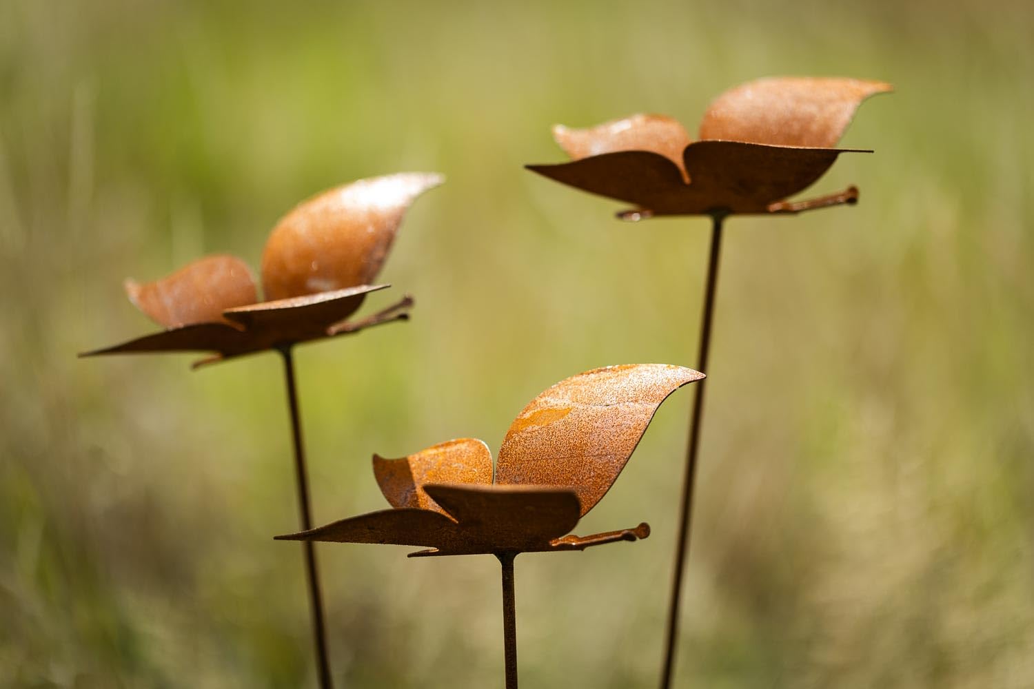 LOT DE 5 Piquets De Tente Incassables En Métal Pour Le Jardinage En Sac