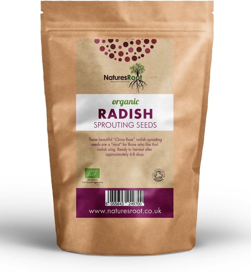 Natures Root Organic Radish Sprouting Seeds 500g (China Rose) – Superfood | Non GMO | Microgreen Sprouts | Garden Planting | Vegetable Gardening