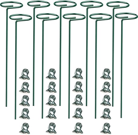 10 pcs 8 inch Metal Single Stem Flower Plant Support Stakes and Rings for Amaryllis Orchid Lily Sunflower Rose Narcissus