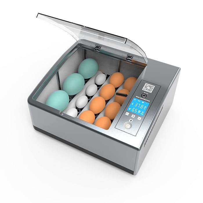 Buy AKWIN Egg Incubator Automatic Incubators for Hatching Eggs Turning