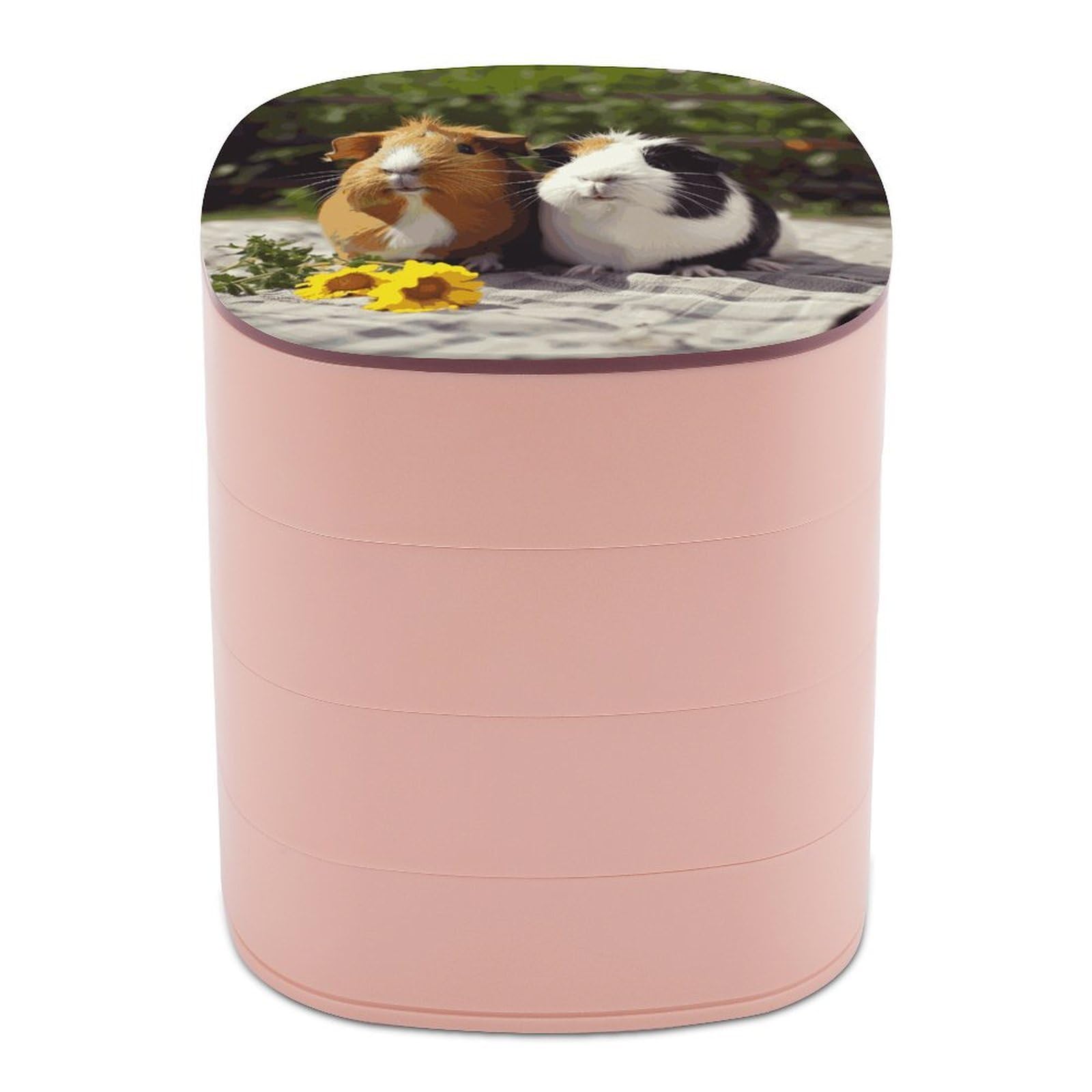 Btcowzrv Women's Style Guinea Pigs Funny Jewelry Organizer With Mirror, 4-Layer Rotating Jewelry Box For Ring Earring Necklaces Bracelets Hair Accessories, Gift For