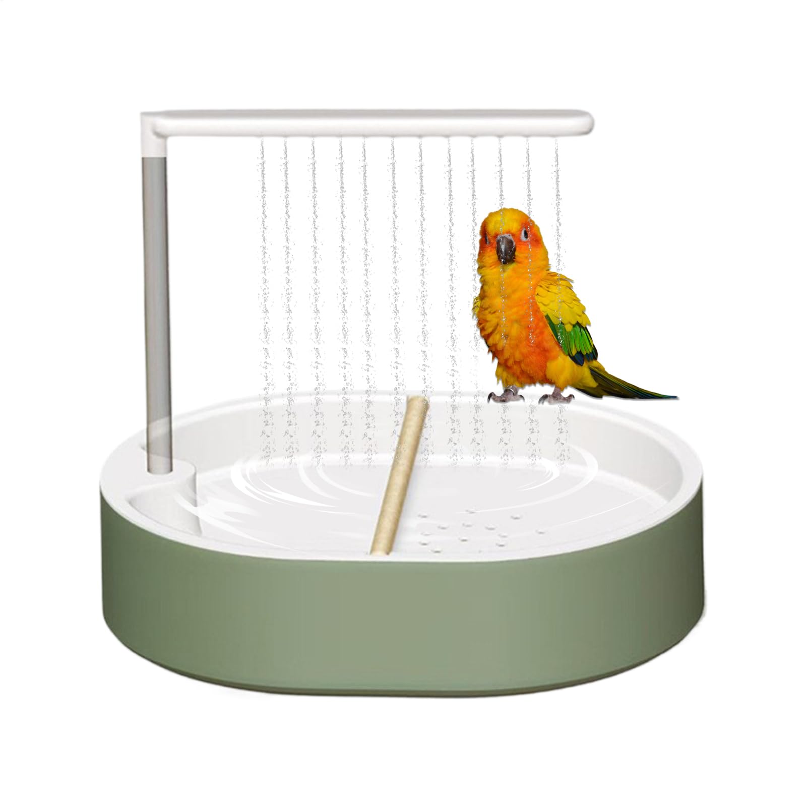 Cage avec bain d'oiseau automatique équipé de 26 trous pour conure et ara