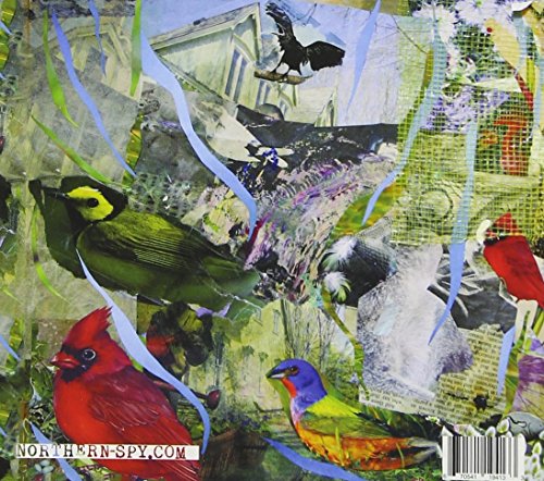 Catbirds & Cardinals