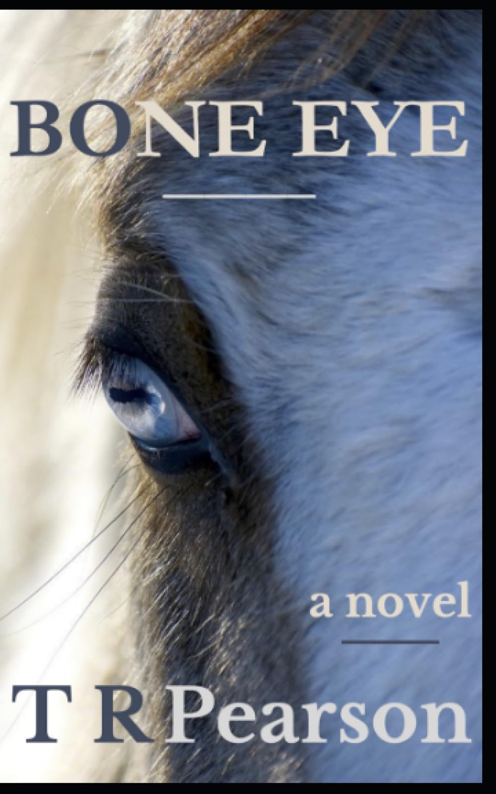 Bone Eye (A Trio of Westerns)