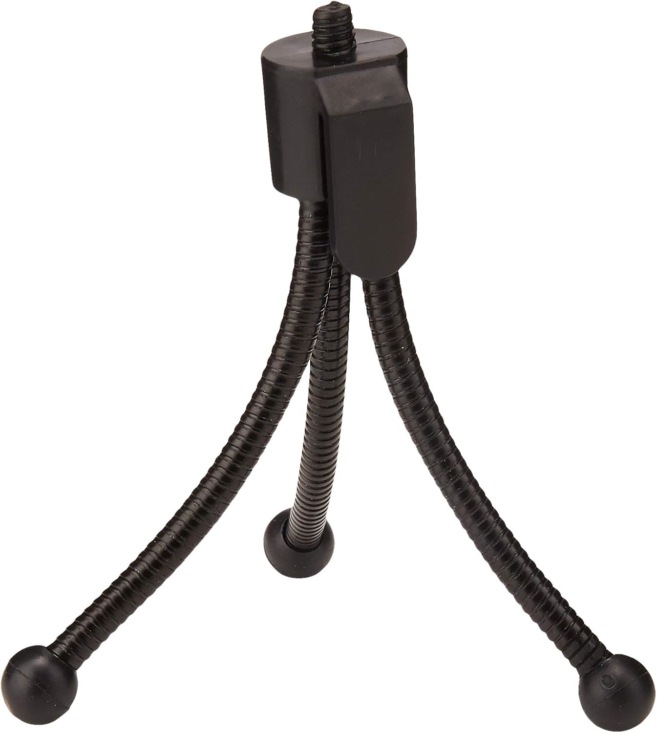 s + M Rehberg DG125D Digigo My Pod Display of 25 Black