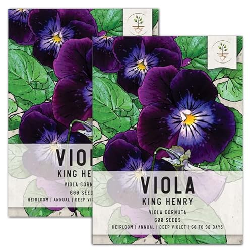 Seed Needs, King Henry Viola Seeds For Planting (Viola Cornuta) Heirloom, Open Pollinated & Attracts Pollinators (1200 Seeds) #TOP3