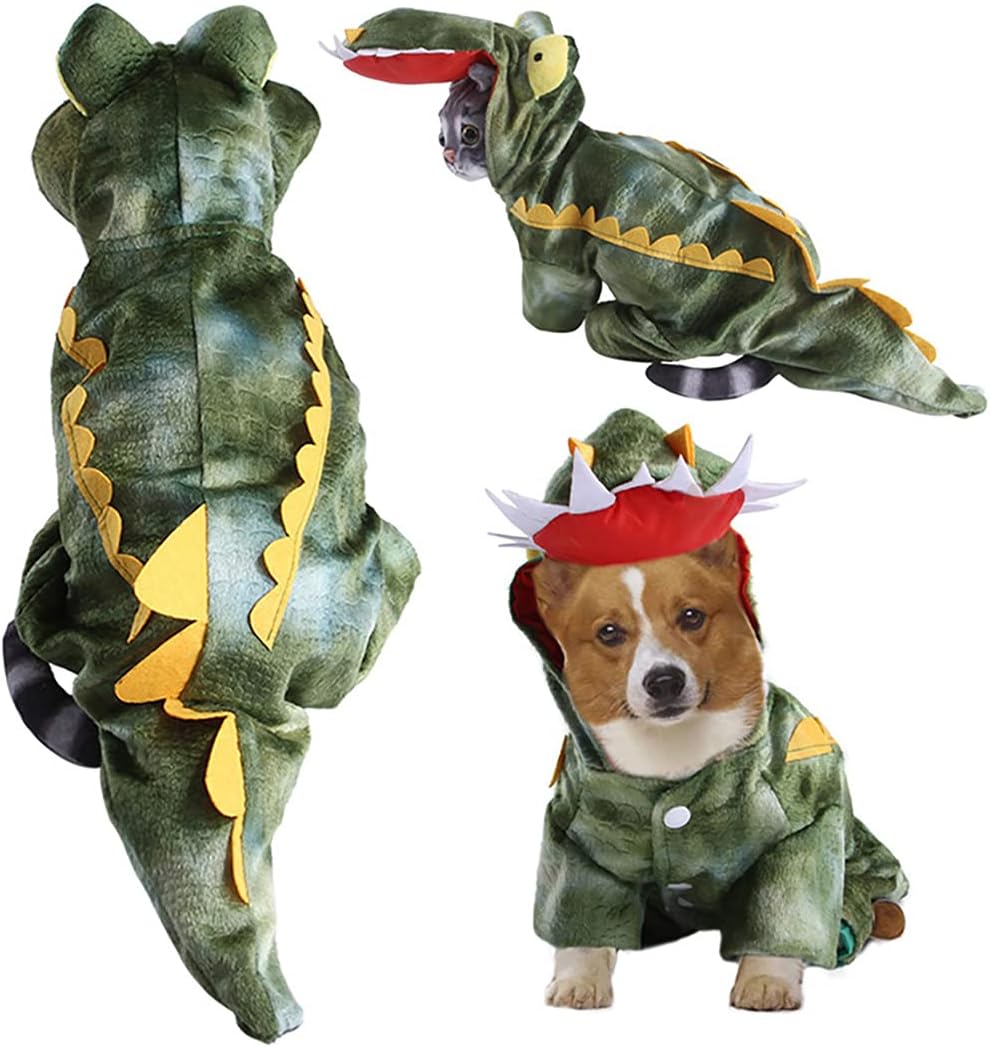 kitten clothes petsmart