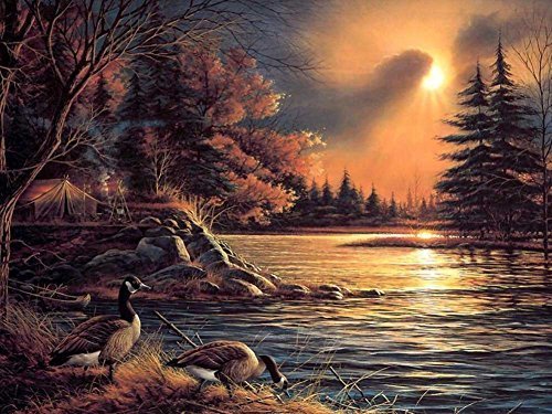 TTbaoz 1000 pieces of paper puzzle By Terry Redlin Puzzle Game For Adults And Teenagers（38*26cm）