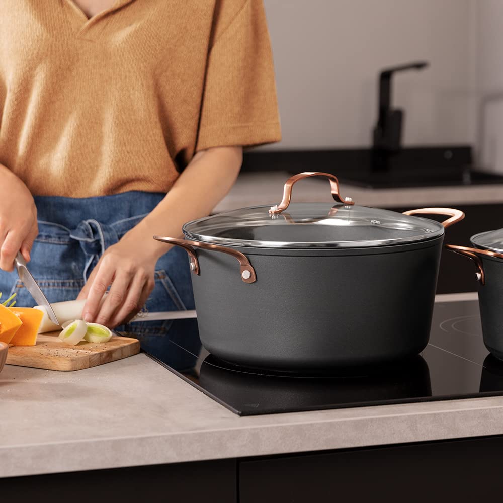 Cecotec Topf Polka Fantasy 28 Pot Golden. Durchmesser 28 cm, Fassungsvermögen 7,1 l, geschmiedetes Aluminium, Antihaftbeschichtung Platinum Plus Teflon, PFOA-frei, geeignet für alle Arten von Herden