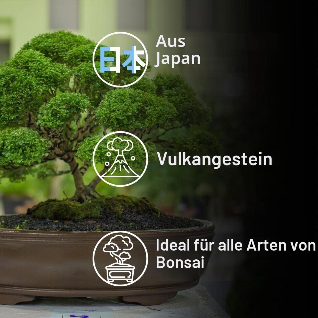 ZOMA Akadama für professionelle Bonsai Körner 2-5 mm, Japanischer Ton für Bonsai und Sukkulenten harte Sorten, Vulkan-Substrat, Drainage und Anti-Rückstauung - 1,5 L