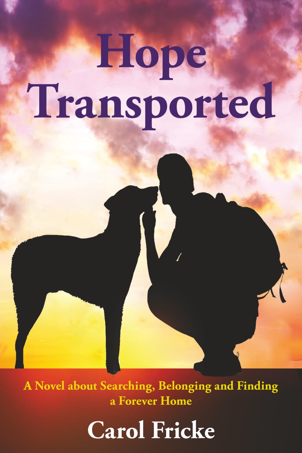 Hope Transported: A Novel about Searching, Belonging and Finding a Forever Home