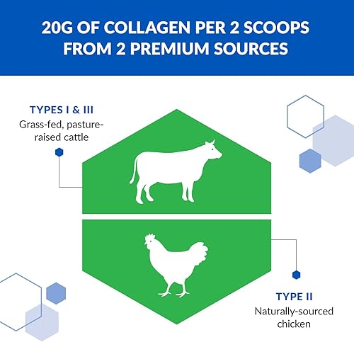 Miniatura 3 de BioTrust Polvo de colágeno tri-colágeno 3 en 1 hidrolizado en polvo (tipos I, II y III) - Polvo de proteína de colágeno alimentado con pasto para
