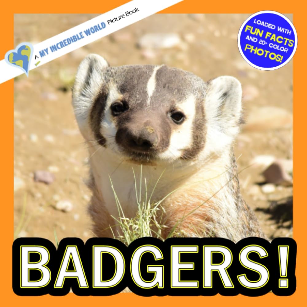 Badgers!: A My Incredible World Picture Book for Children (My Incredible World: Nature and Animal Picture Books for Children)
