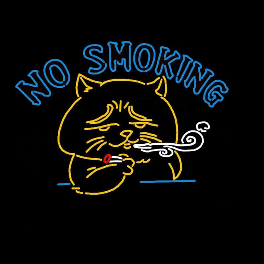 NO SMOKING ネオンサイン ギフト看板 インテリア 20*16インチ Amazon.co.jp: 『NO SMOKING』ネオンサイン NEON SIGN ネオン