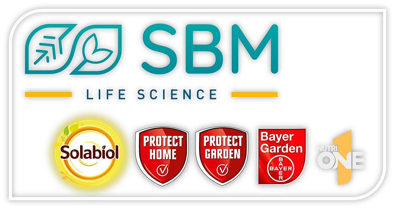 PROTECT HOME - Trampa Cebo para Hormigas en Gel, Anti Hormigas para Uso Interior y Exterior – Pack de 12 Unidades