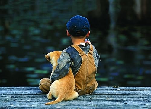 Vista 147 de EuroGraphics - Rompecabezas Pandas rojos