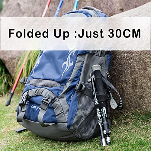 DOBESTS Bastoni da passeggio in alluminio